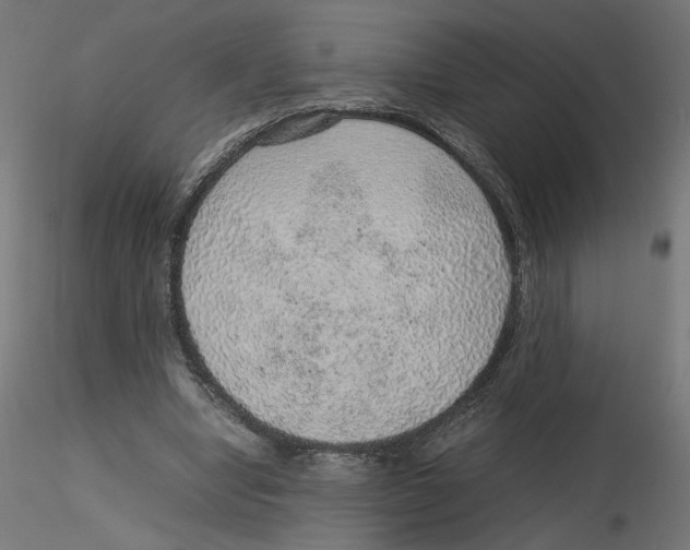 X0000116100442200912211615