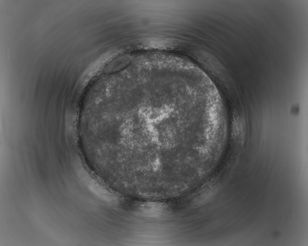 X0000116100444200912211615