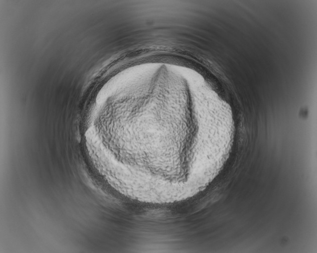 X0000116100446200912211615