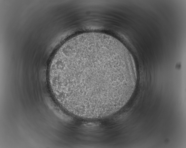 X0000116100447200912211615