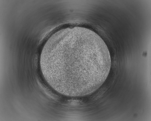 X0000116100448200912211615