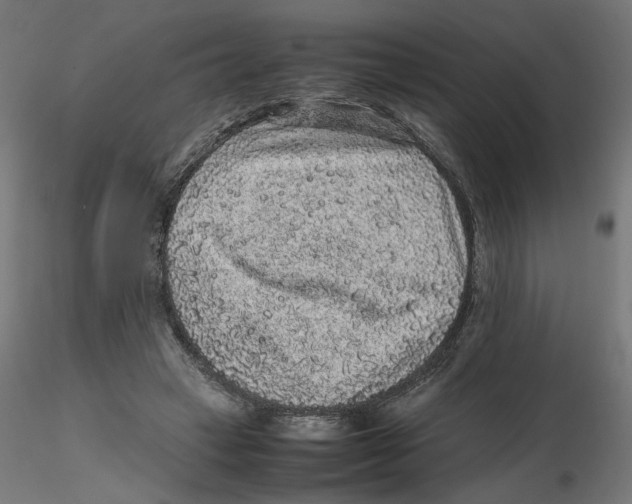 X0000116100449200912211615