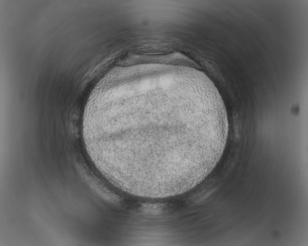 X0000116100450200912211615