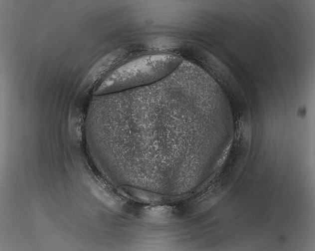 X0000116100452200912211615