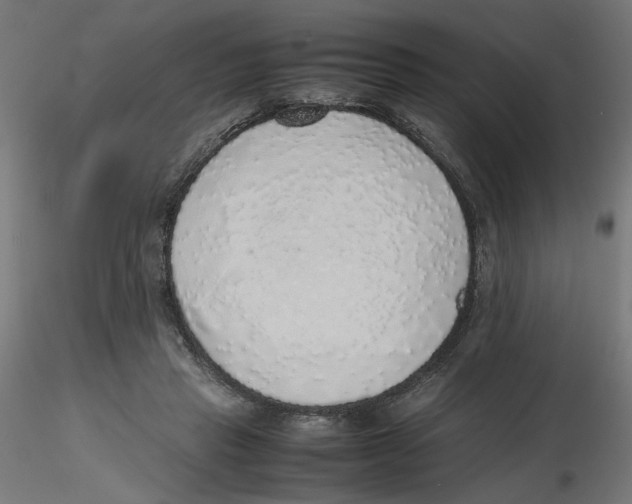 X0000116100453200912211615