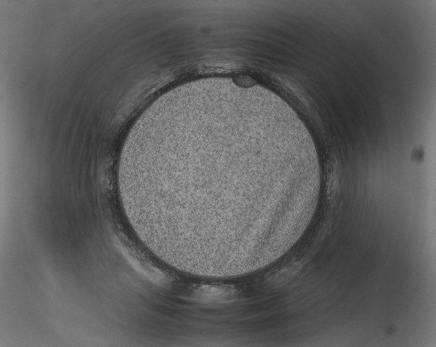 X0000116100455200912211615