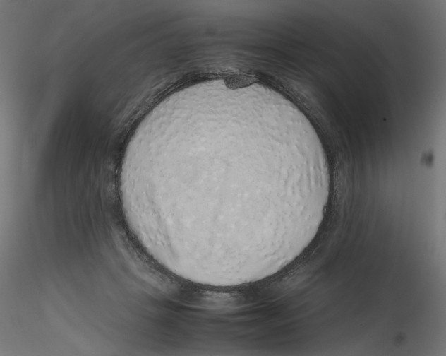 X0000116100457200912211615