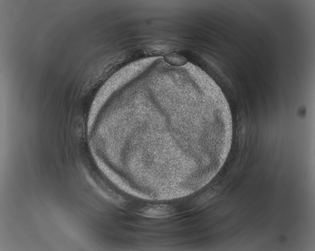 X0000116100459200912211615