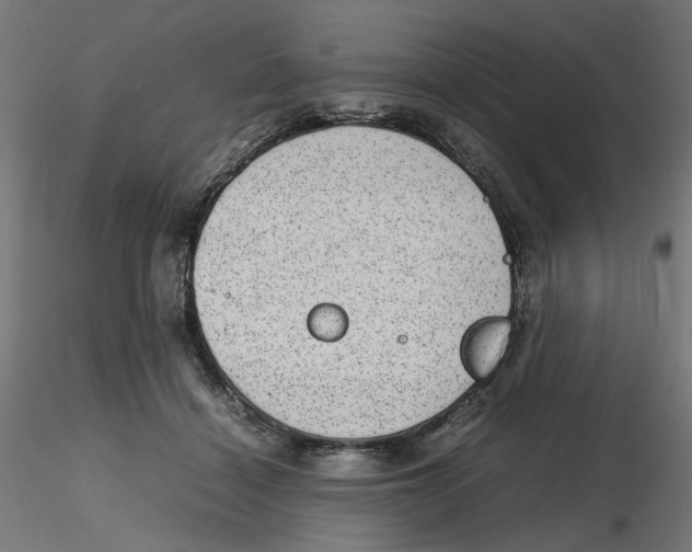 X0000116100460200912211615