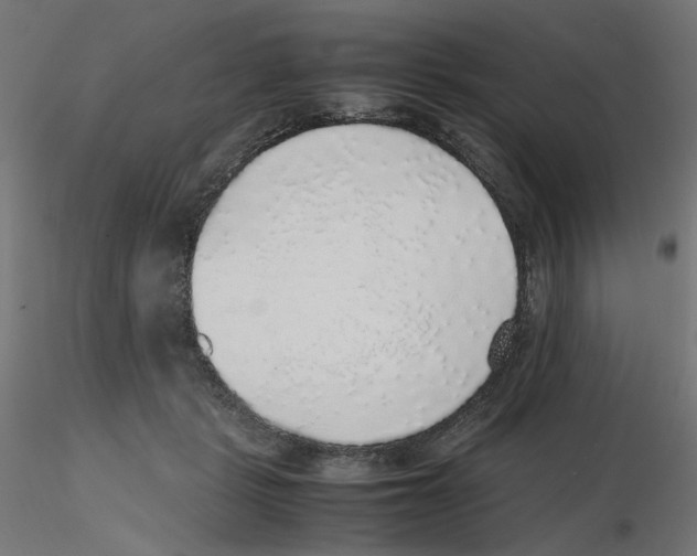 X0000116100461200912211615