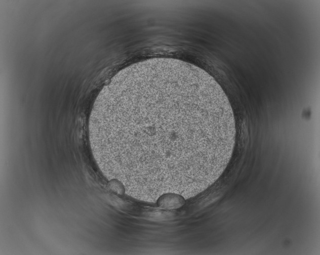 X0000116100463200912211615