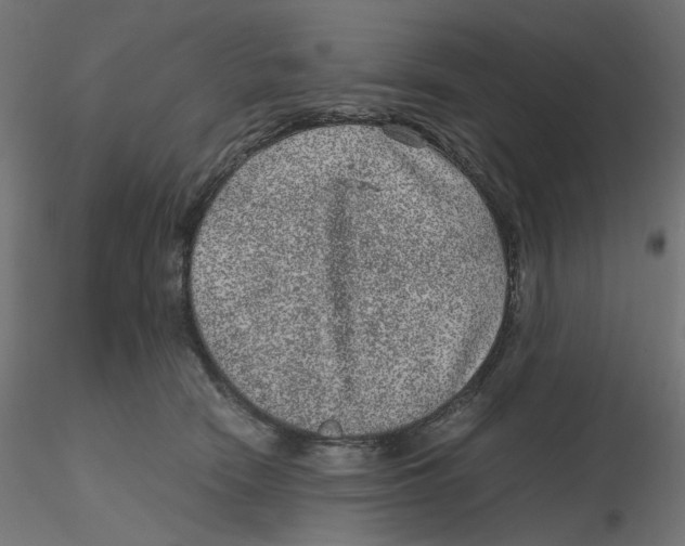 X0000116100466200912211615