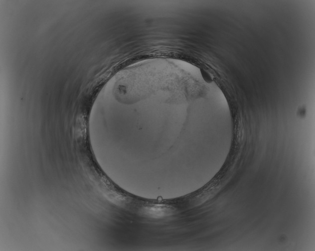 X0000116100467200912211615