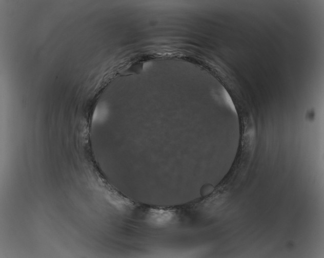 X0000116100469200912211615