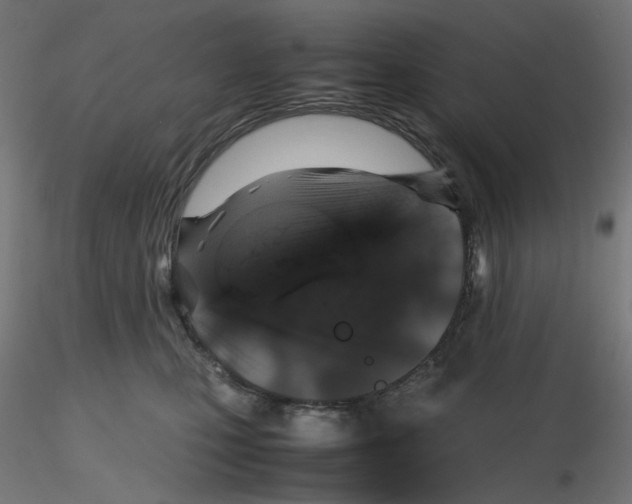 X0000116100471200912211615