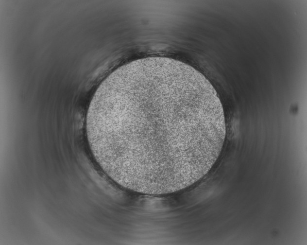 X0000116100472200912211615