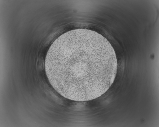 X0000116100474200912211615