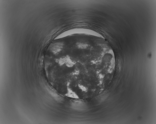 X0000116100475200912211615