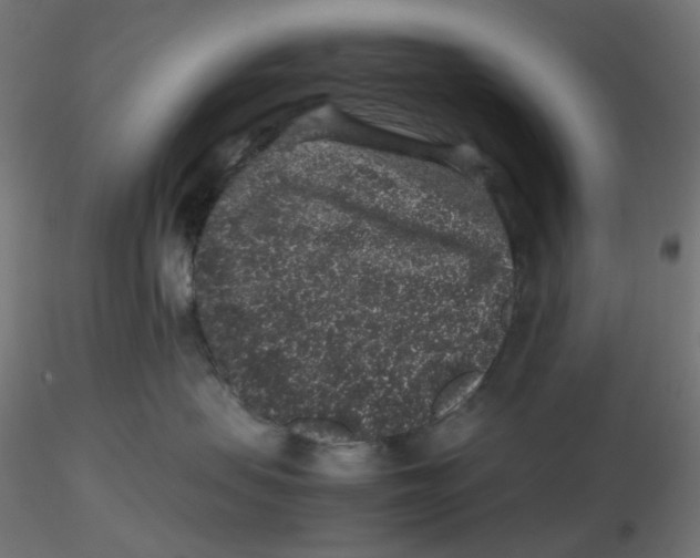 X0000116100479200912211615