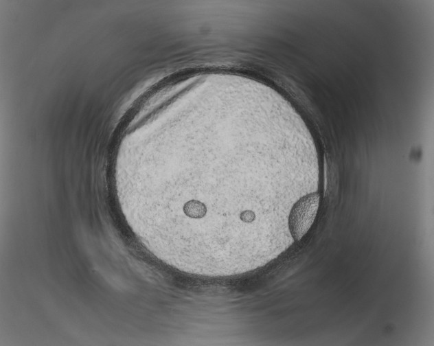 X0000116100483200912211614