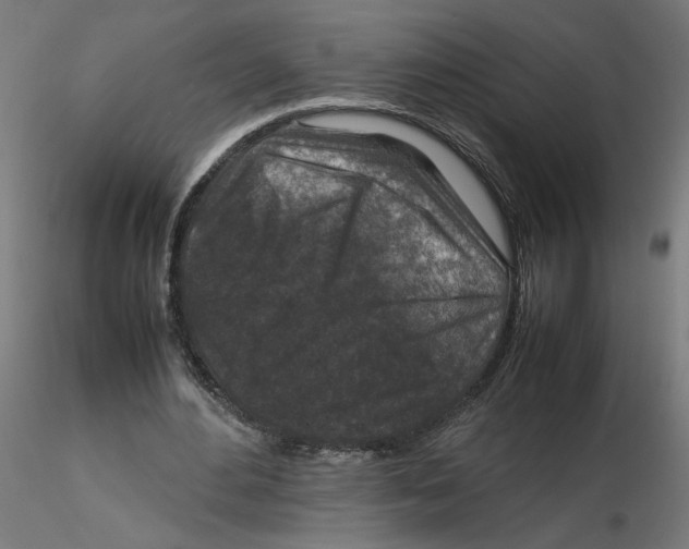 X0000116100484200912211614