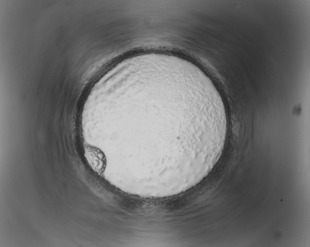 X0000116100487200912211614