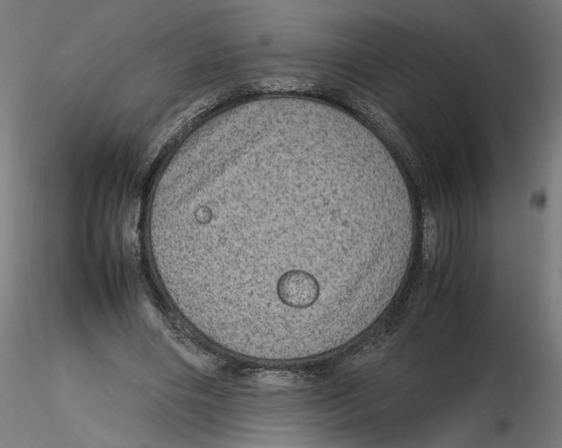 X0000116100490200912211614