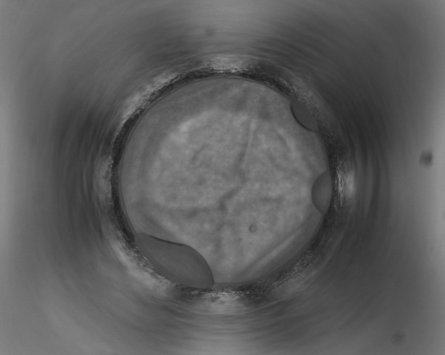 X0000116100492200912211614