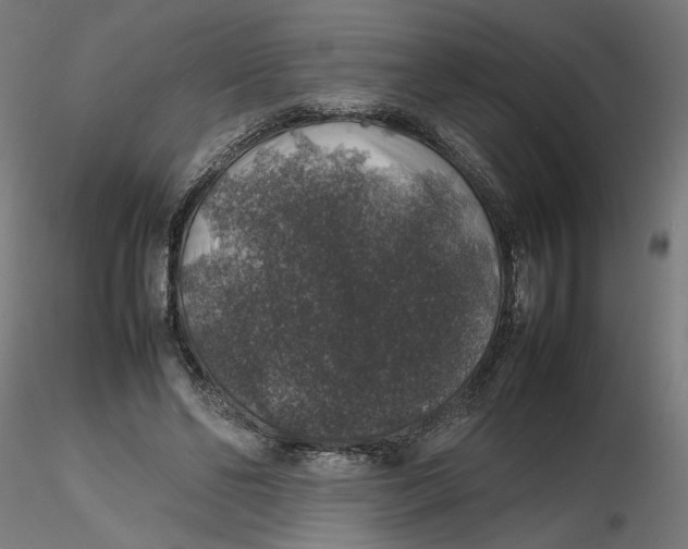 X0000116100494200912211614