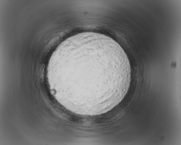 X0000116100495200912211614