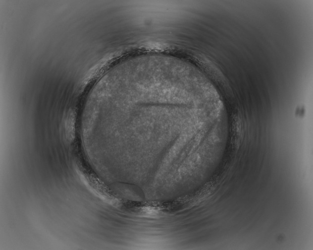 X0000116100496200912211614