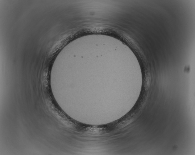 X0000116100497200912211614