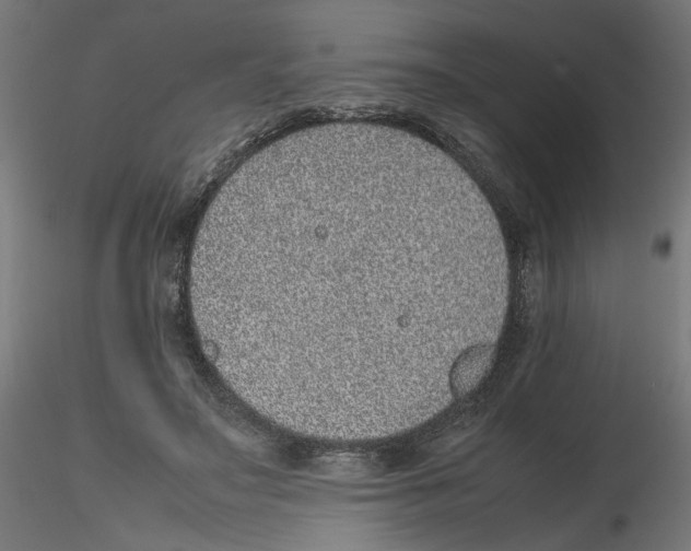 X0000116100499200912211614