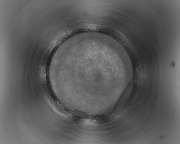 X0000116100500200912211614