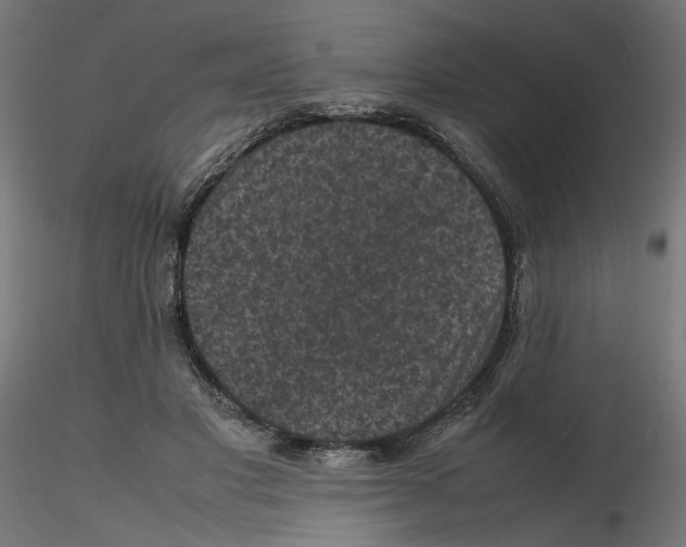 X0000116100501200912211614