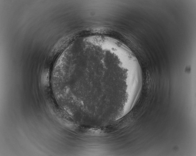 X0000116100502200912211614