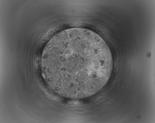 X0000116100503200912211614