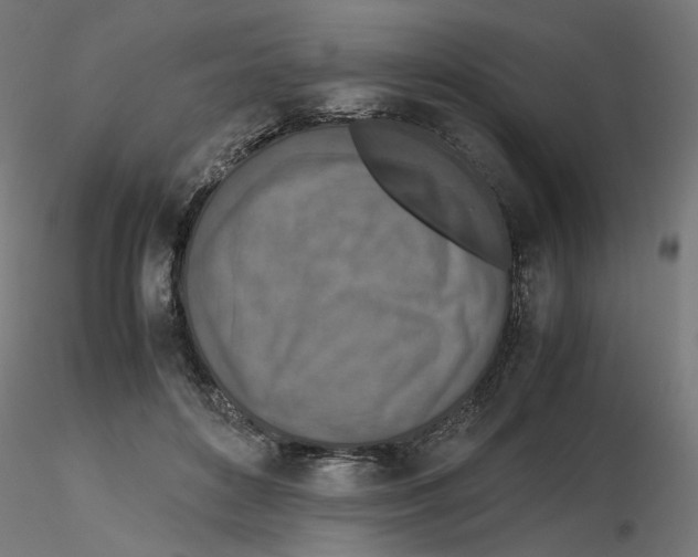 X0000116100504200912211614