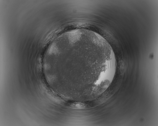 X0000116100506200912211614