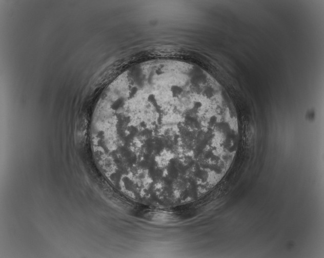 X0000116100507200912211614