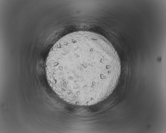 X0000116100511200912211614