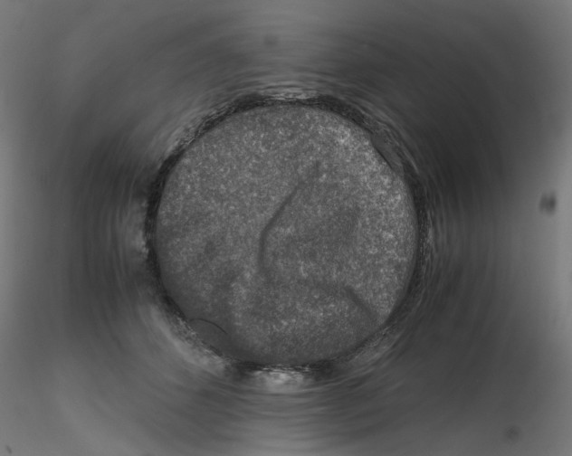 X0000116100512200912211614