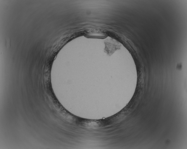 X0000116100513200912211614