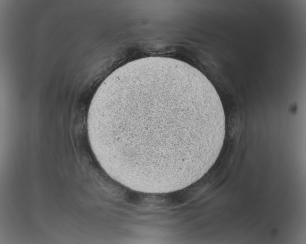 X0000116100515200912211614