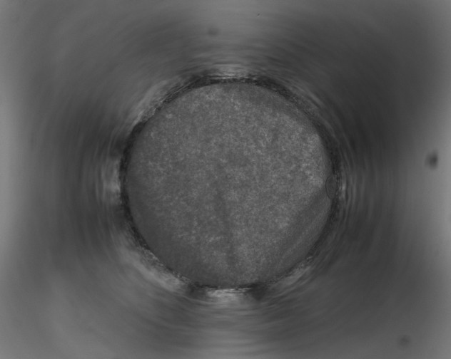 X0000116100516200912211614