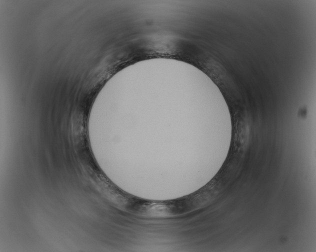 X0000116100518200912211614