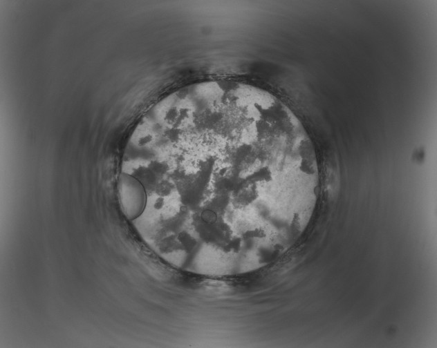 X0000116100519200912211614