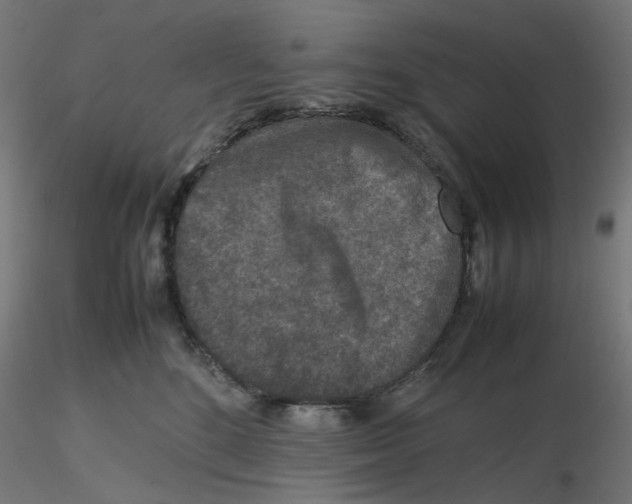 X0000116100520200912211614