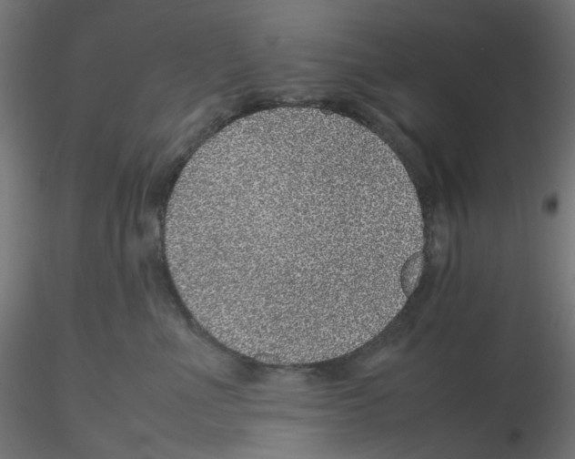 X0000116100523200912211614