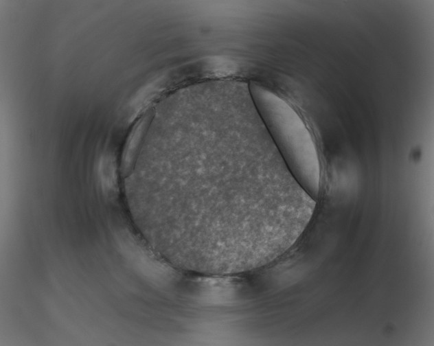 X0000116100524200912211614